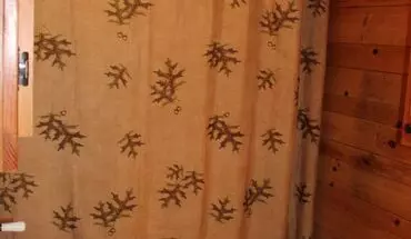 5 of 9 Furnished Cabin With Loft House for rent in Balsam Grove, NC
