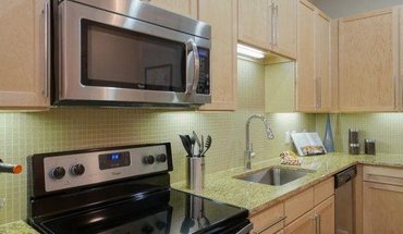 Domain By Windsor Apartment for rent in Houston, TX