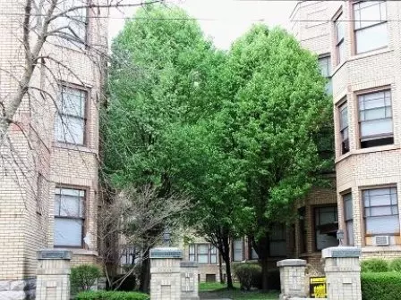 1026 S 4th St Apartment for rent in Louisville, KY