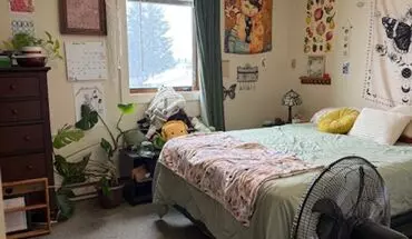 5 of 15 Super Comfy Apartment Apartment for rent in Bozeman, MT