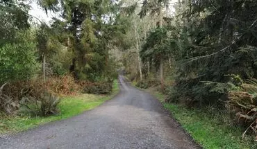 5 of 17 3151 Shadowbrook Ln House for rent in Oak Harbor, WA
