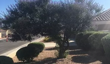 5 of 9 3032 Hidden Treasure Dr House for rent in Las Vegas, NV