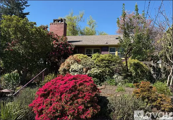 11249 Fremont Ave N Apartment for rent in Seattle, WA