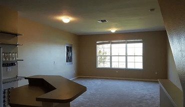 2521 Lexington Oak Dr Unit 2521 Apartment for rent in Brandon, FL