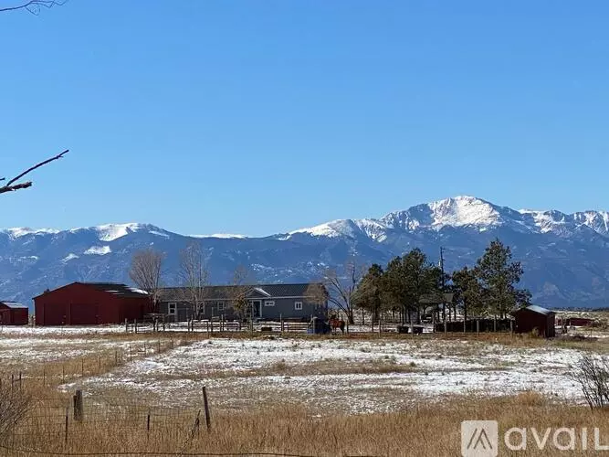 11665 Blaney Rd S House for rent in Peyton, CO
