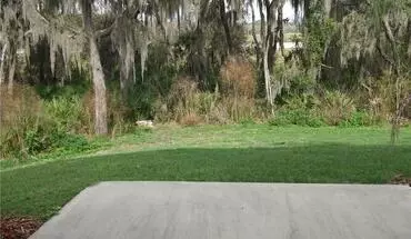 2 of 21 15702 Fishhawk Falls Dr Unit None Apartment for rent in Fish Hawk, FL