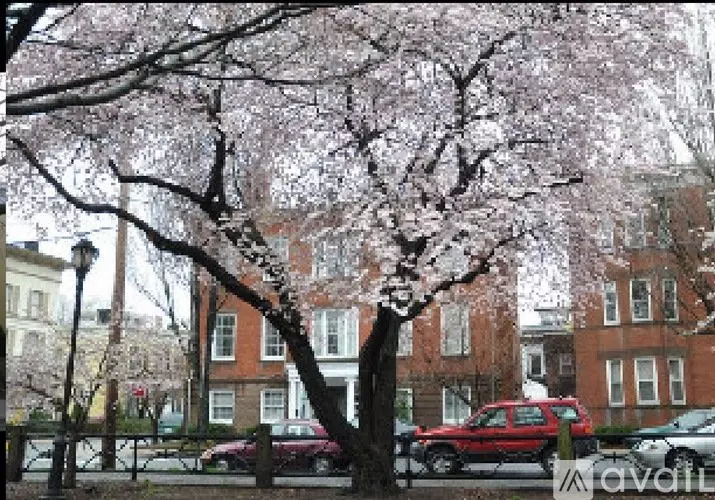 2 Academy St Unit 3 Apartment for rent in New Haven, CT