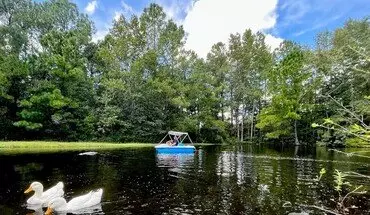 2 of 28 351 Buck Swamp Rd House for rent in Brunswick, GA