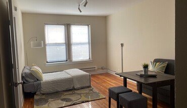339 W Howard St Unit 307 Apartment for rent in Evanston, IL