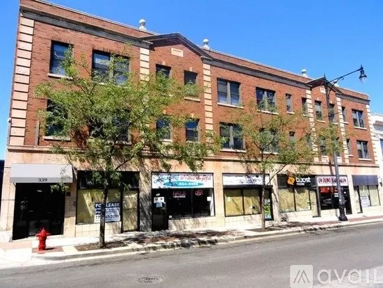 339 W Howard St Unit 307 Apartment for rent in Evanston, IL
