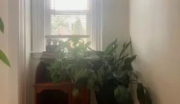 2 of 13 390 Main St Unit 2 Apartment for rent in Biddeford, ME