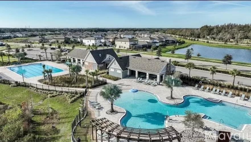 14773 Summer Branch Dr House for rent in Hillsborough County, FL