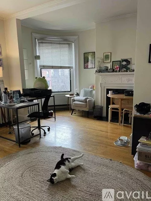 27 Massachusetts Ave Unit 3 Apartment for rent in Boston, MA