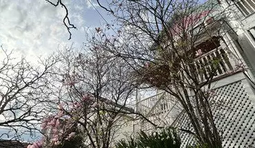 3 of 15 3516 Handman Ave House for rent in Cincinnati, OH