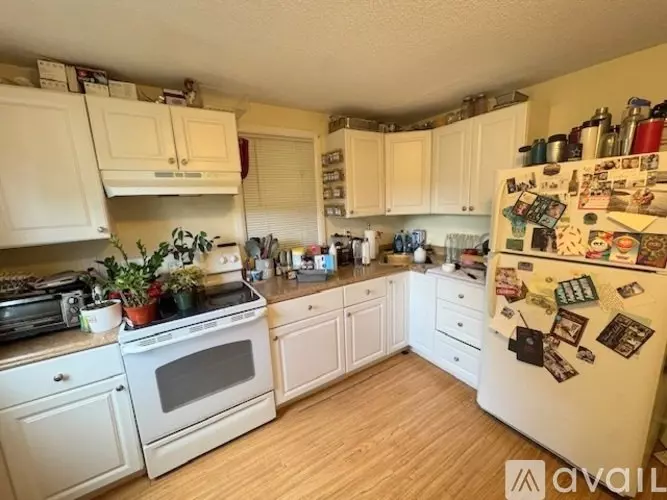 26 Greymere Rd Unit 2 Apartment for rent in Boston, MA