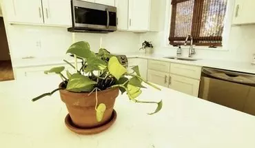 2 of 19 23 Oakview Cir House for rent in Westport, CT
