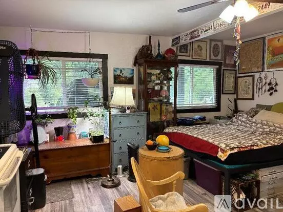 510 Main St Unit 3 Apartment for rent in Silver Plume, CO