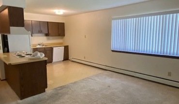 62 Northwood Dr Unit 4 Apartment for rent in Hiawatha, IA