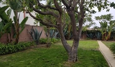1717 2nd St Apartment for rent in Manhattan Beach, CA
