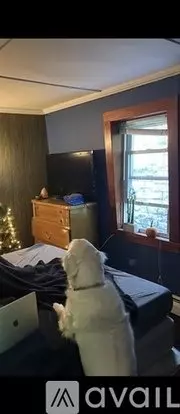 9 Lincoln St Apartment for rent in Pittsfield, MA