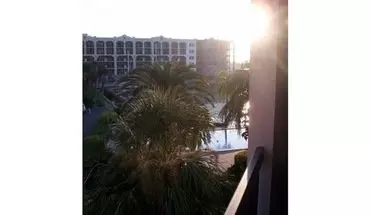 2 of 19 255 Dolphin Point, Unit 303 Apartment for rent in Clearwater, FL