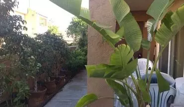 5 of 14 15363 Maturin Drive, Unit 154 Apartment for rent in San Diego, CA