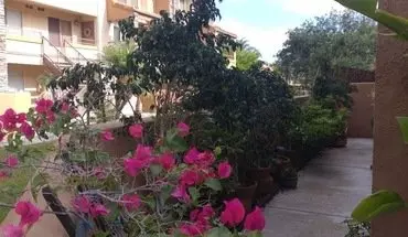 2 of 14 15363 Maturin Drive, Unit 154 Apartment for rent in San Diego, CA
