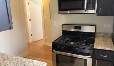 3 of 15 1114 W Balmoral Ave Unit 3 Apartment for rent in Chicago, IL