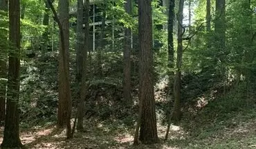 2 of 50 5239 Ferry Creek Ln House for rent in Acworth, GA