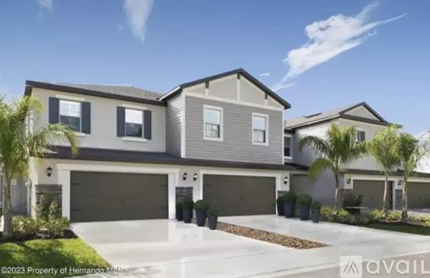 17726 Nectar Flume Dr Unit 17726 Apartment for rent in Land O Lakes, FL