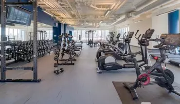 3 of 9 1131 N Wells St Unit 2 Apartment for rent in Chicago, IL