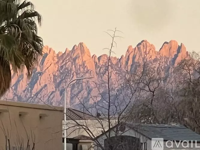 2902 Quasar Dr House for rent in Las Cruces, NM
