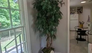 5 of 23 1924 S Wiley Ave House for rent in Tyler, TX