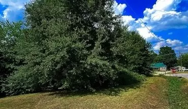4 of 42 367 E Reedy Fork Rd House for rent in Seneca, SC