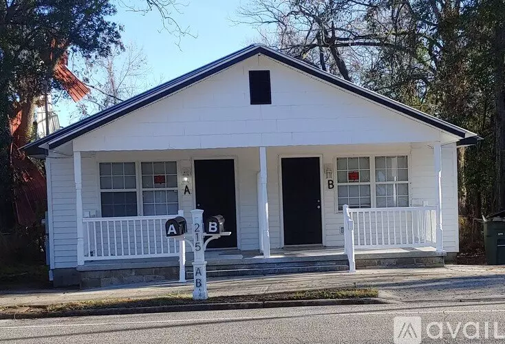 215 Johnson St Unit 215A Apartment for rent in Statesboro, GA
