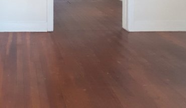 1102 Custer St Apartment for rent in Petersburg, VA